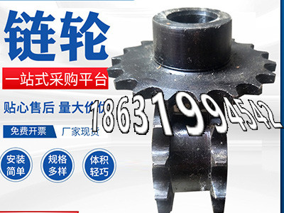 4模数全新的